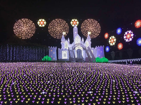 【埼玉県内発】 あしかがフラワーパーク光の花の庭イルミネーションと足利織姫神社ライトアップ・ 地元で人気レストランTSUMIKI 日帰り2